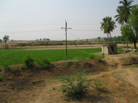 ckpura farms