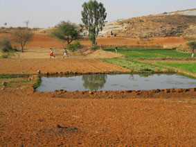 farms around CK Pura