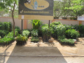 Pavagada