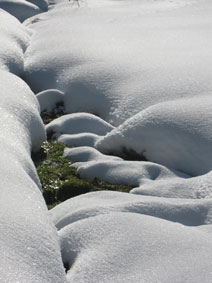 stream and snow