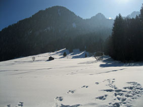 field and mountain side