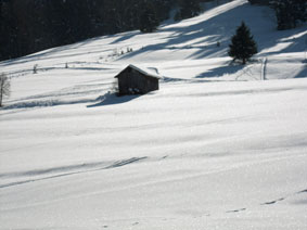 field of snow