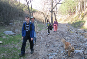 walking up into the forest