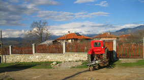 back of the garden