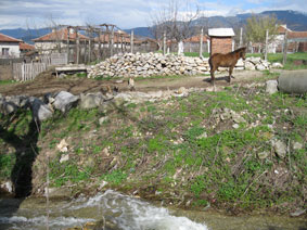 village scene