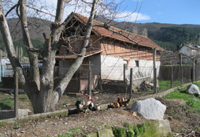 village scene