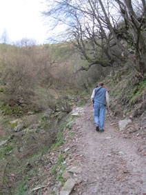 the trail up