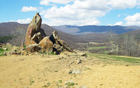 view from grave
