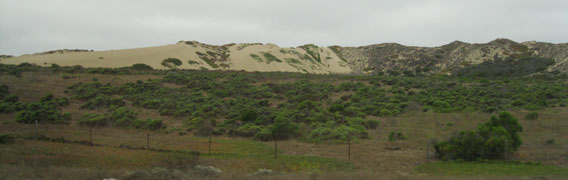 sand dunes