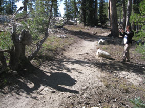 Emi photographing a tree