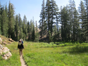 meadow near May Lake