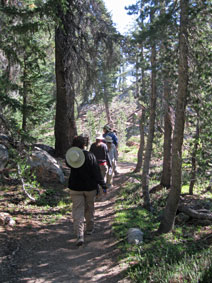 trail to Raisin Lake