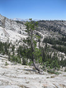 on the trail near May Lake