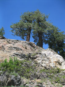 on the trail near May Lake