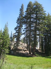 on the trail near May Lake