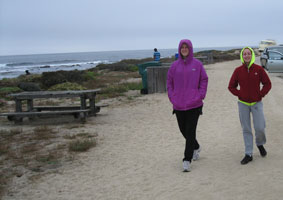 walking along the shore
