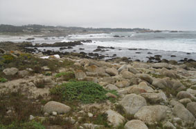 Pebble Beach coastline