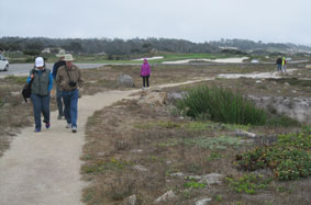 walking along the shore
