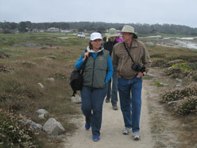 walking along the shore