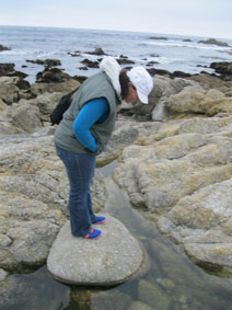 Carrie looking in a tide pool