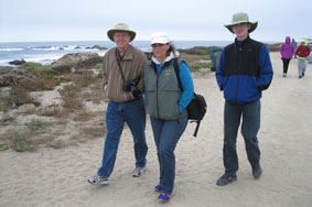 walking along the shore