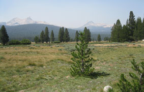 Tuolumne Meadows