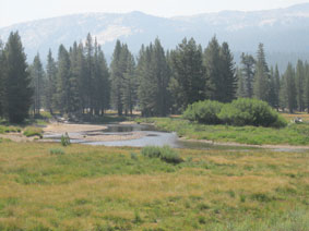 Tuolumne Meadows