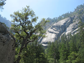 Yosemite Valley