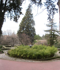 botanical garden