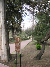 botanical garden