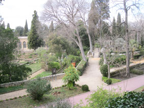 botanical garden