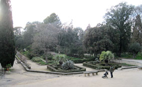 botanical garden