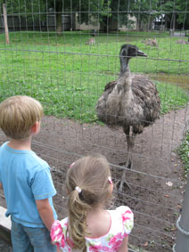 Benji, Alie, emu