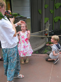 feeding parakeets