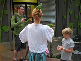 feeding parakeets