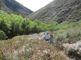 Garrapata Canyon