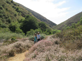 Garrapata Canyon