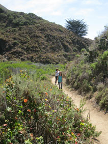 Garrapata Canyon