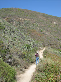 Garrapata Canyon