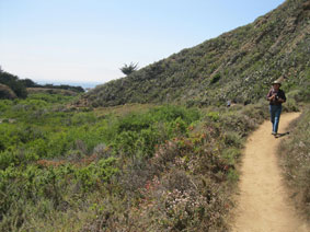 Garrapata Canyon