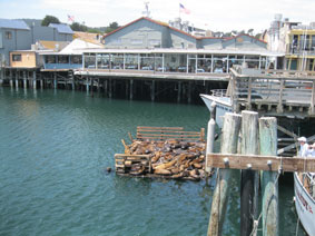 Monterey Fishermans Wharf