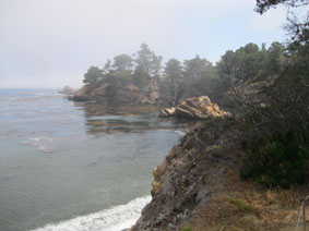 Point Lobos