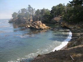 Point Lobos