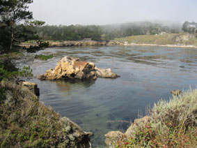 Point Lobos