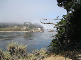 Point Lobos