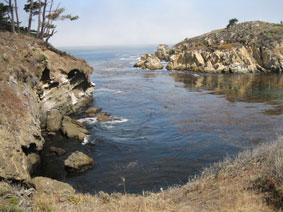 Point Lobos