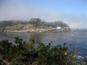 Point Lobos