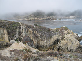 Point Lobos