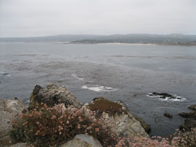 Pebble Beach from Point Lobos