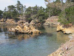 Point Lobos